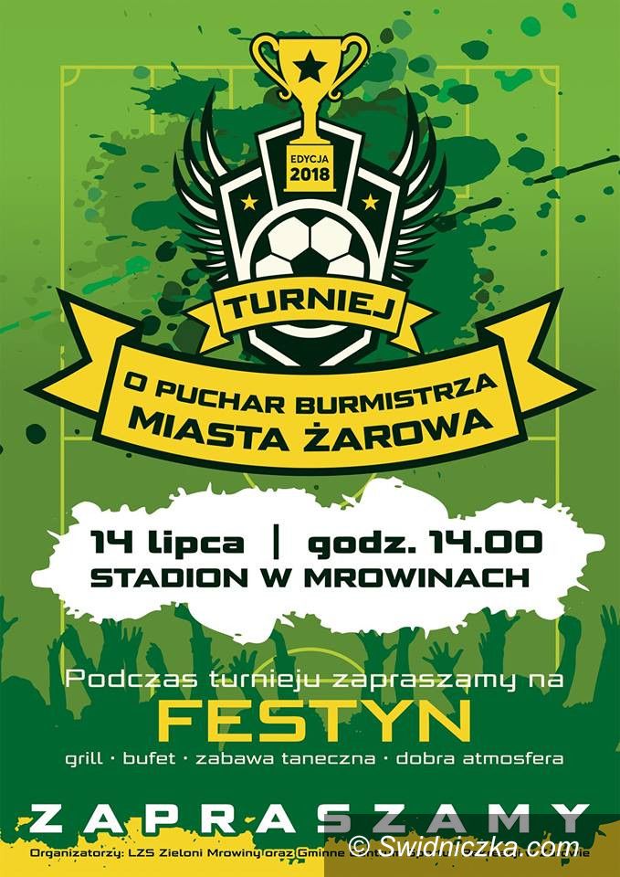 Mrowiny: Zagrają o puchar Burmistrza