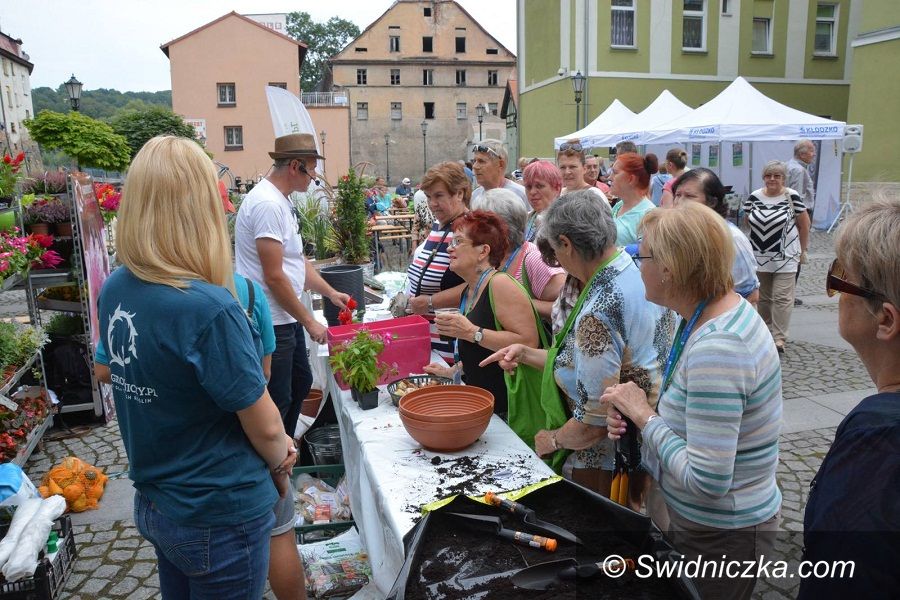 Świdnica/REGION: Zapraszamy seniorów na II Targi Senioralne w Kłodzku