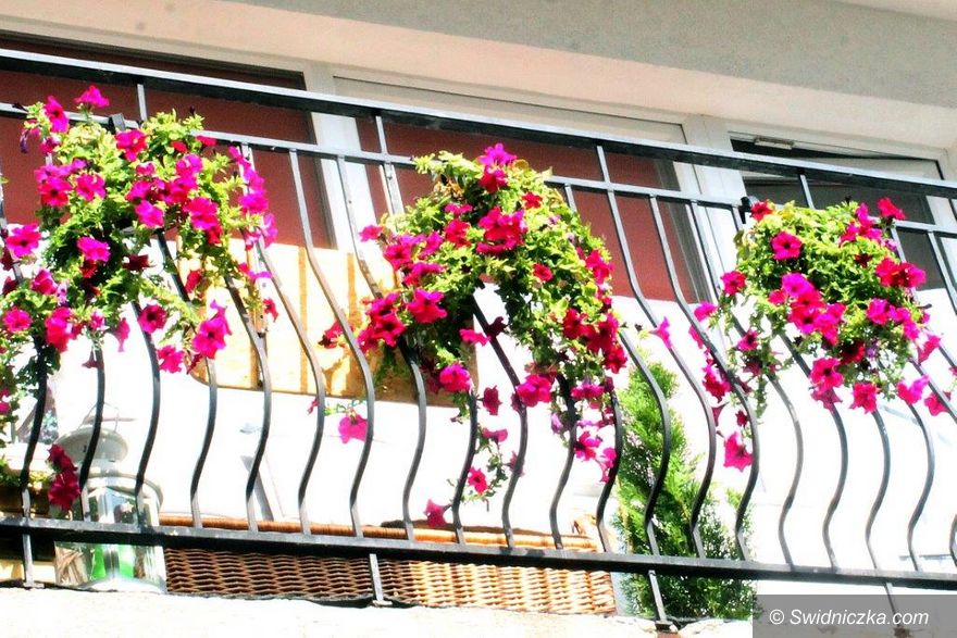Świebodzice: Miasto w kwiatach