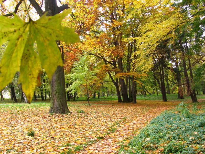 Żarów: Dbają o zabytkowy Park