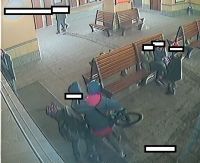 Świdnica: Sezon na bójki