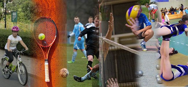 Gmina Żarów: Dotacja celowa na realizację zadań publicznych z zakresu rozwoju sportu