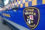Świdnica: W minionym tygodniu strażnicy miejscy zrealizowali 140  interwencji