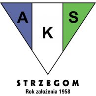 Strzegom: IV liga piłkarska: Pięć goli w siatce Odry