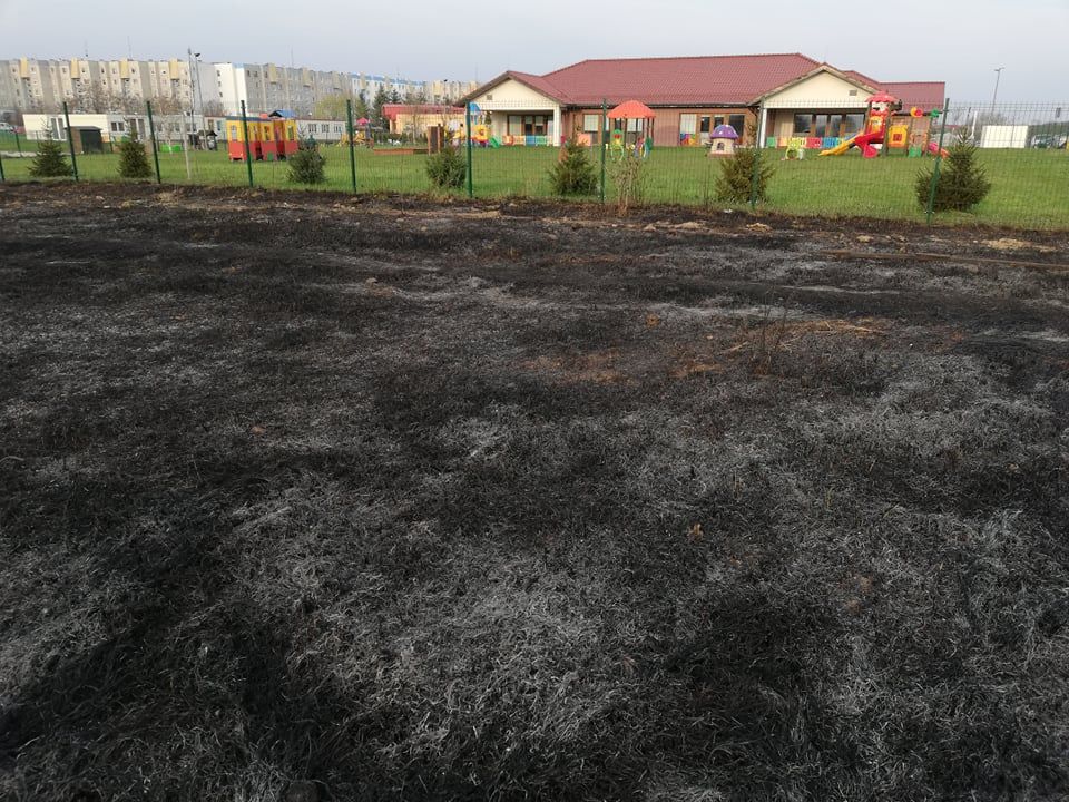 Świdnica: Prezydent Świdnicy wyznacza nagrodę za wskazanie podpalacza!