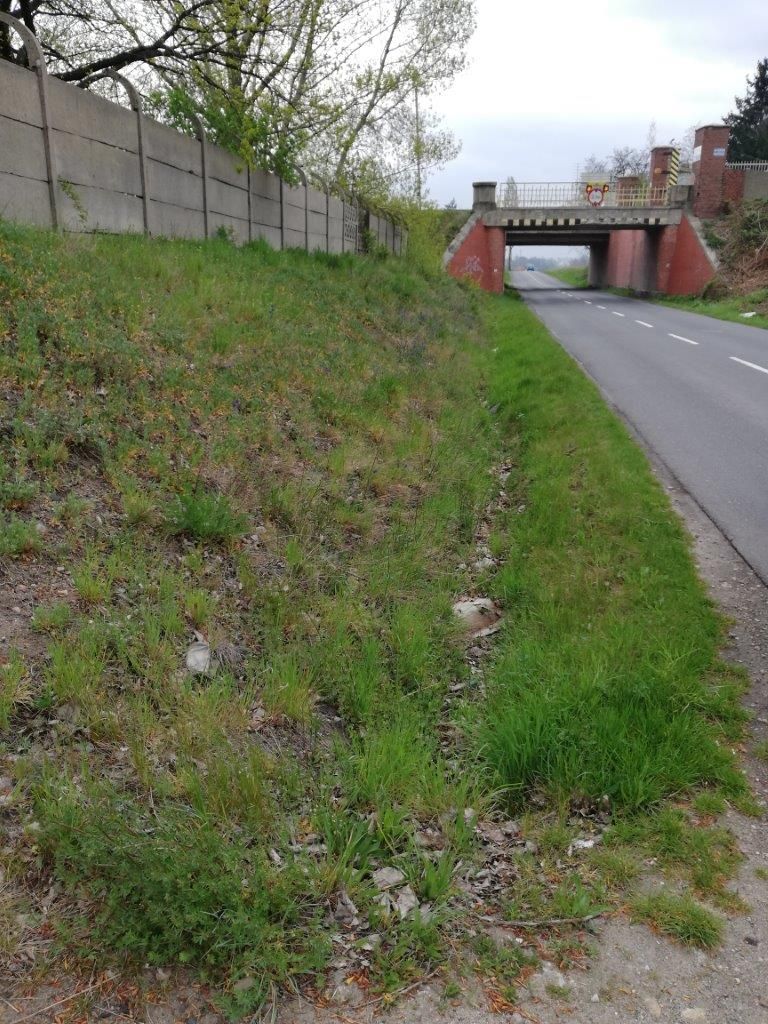 powiat świdnicki: Spontaniczne sprzątanie poboczy