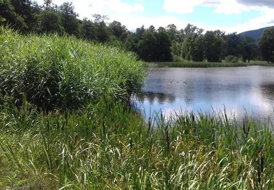 Świdnica: Rusza kolejna edycja wycieczek z przewodnikiem