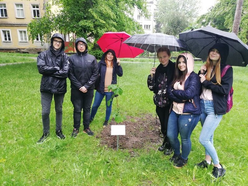 Strzegom: Gra miejska „Książęcym traktem”