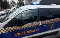 Świdnica: Nietypowe interwencje