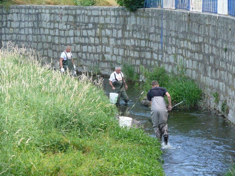 Strzegom: Posprzątali Strzegomkę