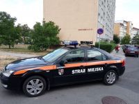 Świdnica: Brak wyobraźni