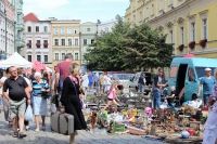 Świdnica: Przyjdź na giełdę