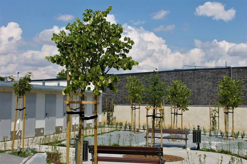Świebodzice: Rewitalizują Świebodzice