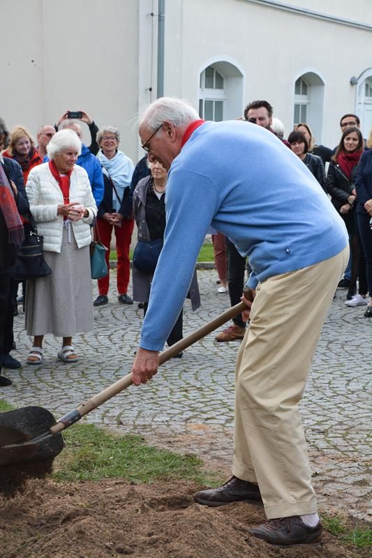 Krzyżowa: Dąb pamięci