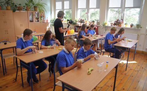 Kostrza: Pracownia marzeń