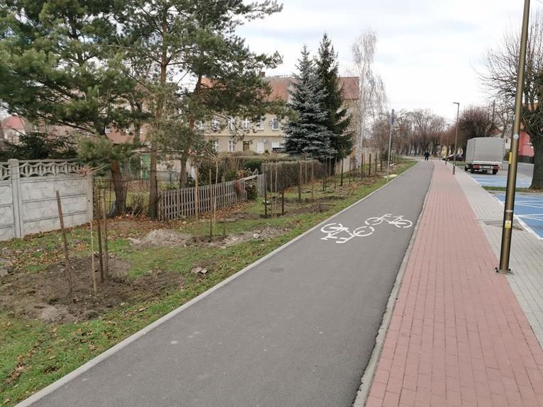 Żarów: Posadzili drzewa