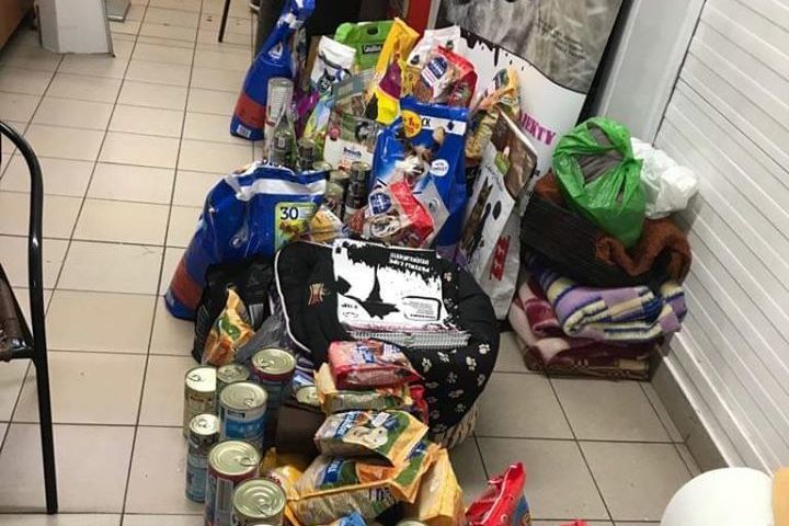 Świebodzice: Wielkie serca