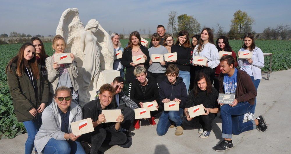 Strzegom: Kamienny projekt