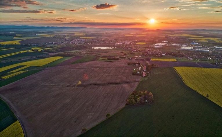Gmina Żarów: Żarów 2019 w liczbach