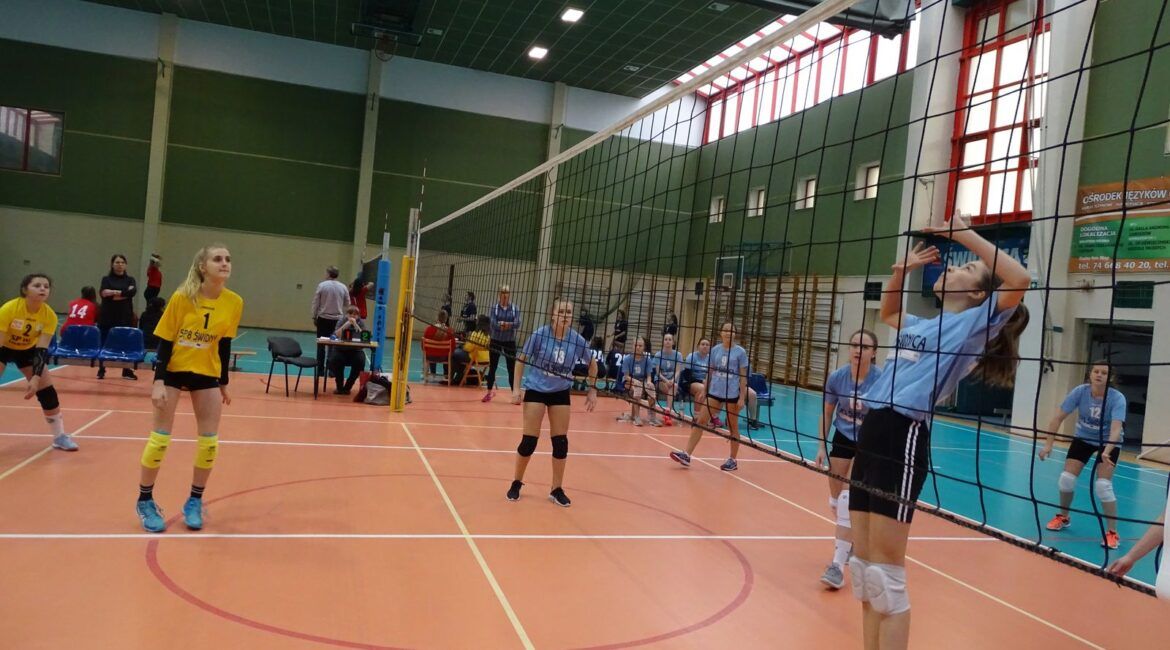 Świdnica: Szkolna siatkówka