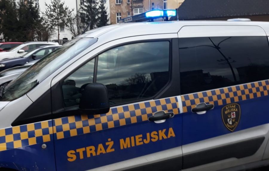 Świdnica: Zrealizowano 133  interwencje