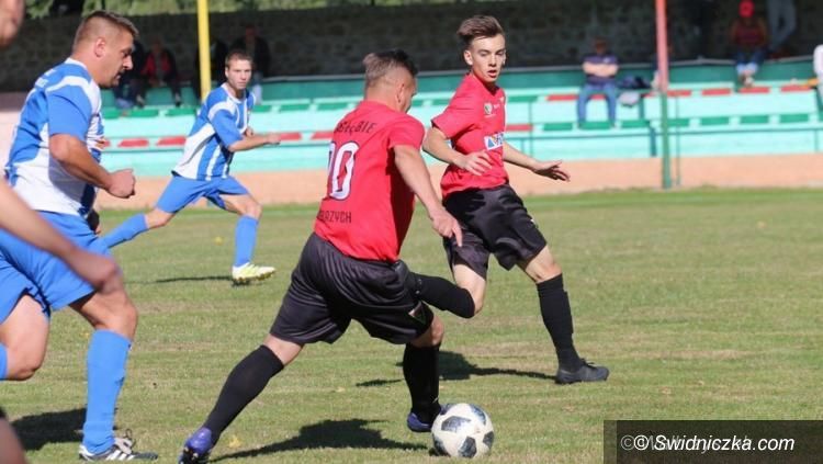 Świdnica: Aż miło patrzeć