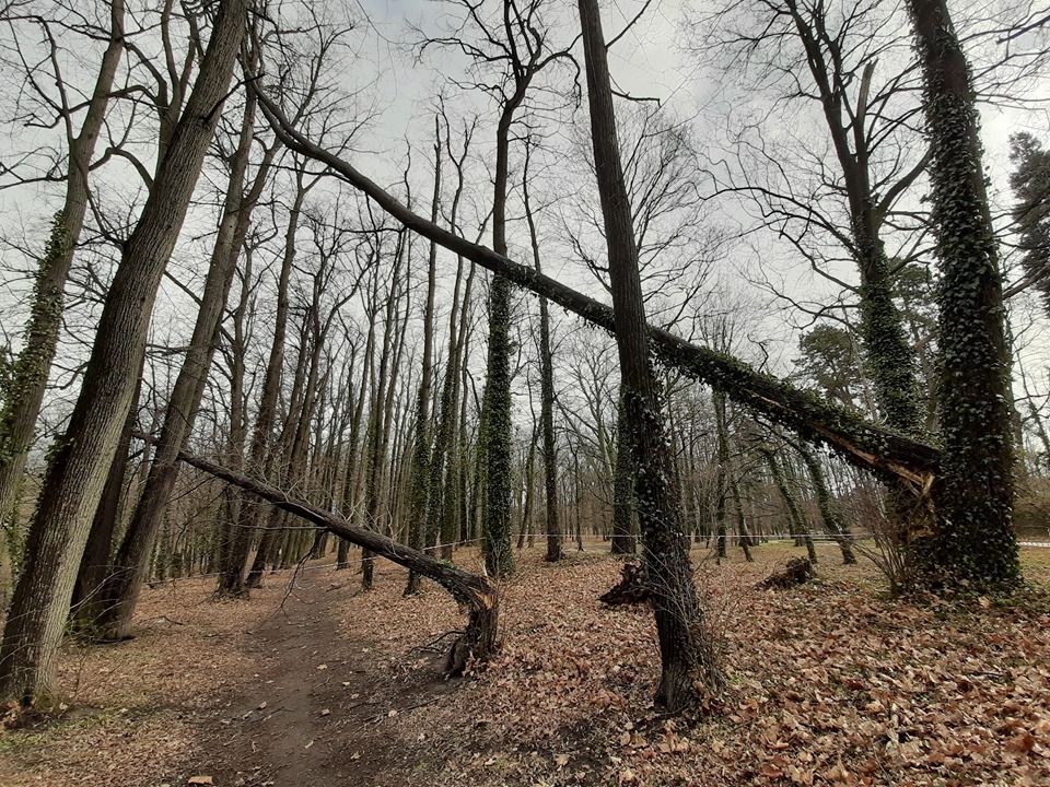 Świdnica: Nie wchodź do parku