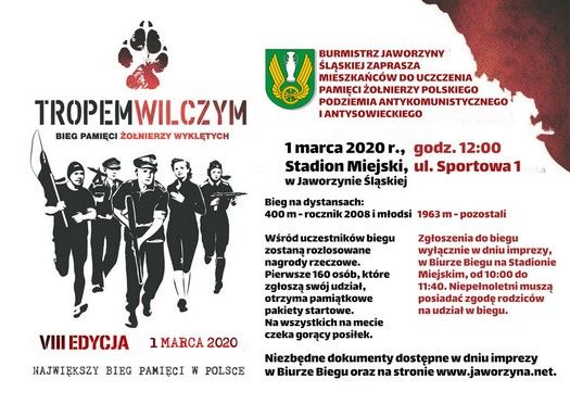 Jaworzyna Śląska: Kolejny bieg