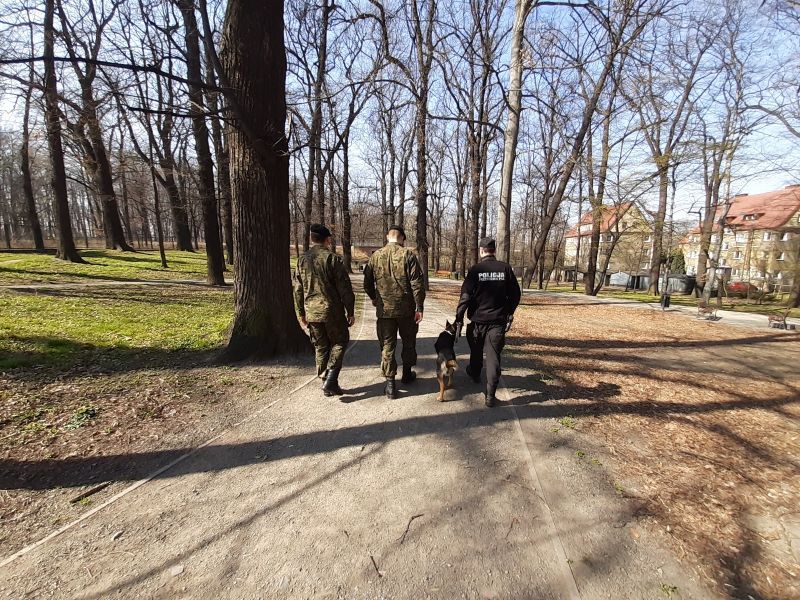 Świdnica/powiat świdnicki: Więcej patroli