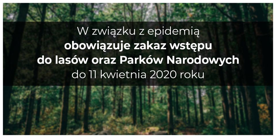 REGION: Zakaz wstępu do lasów