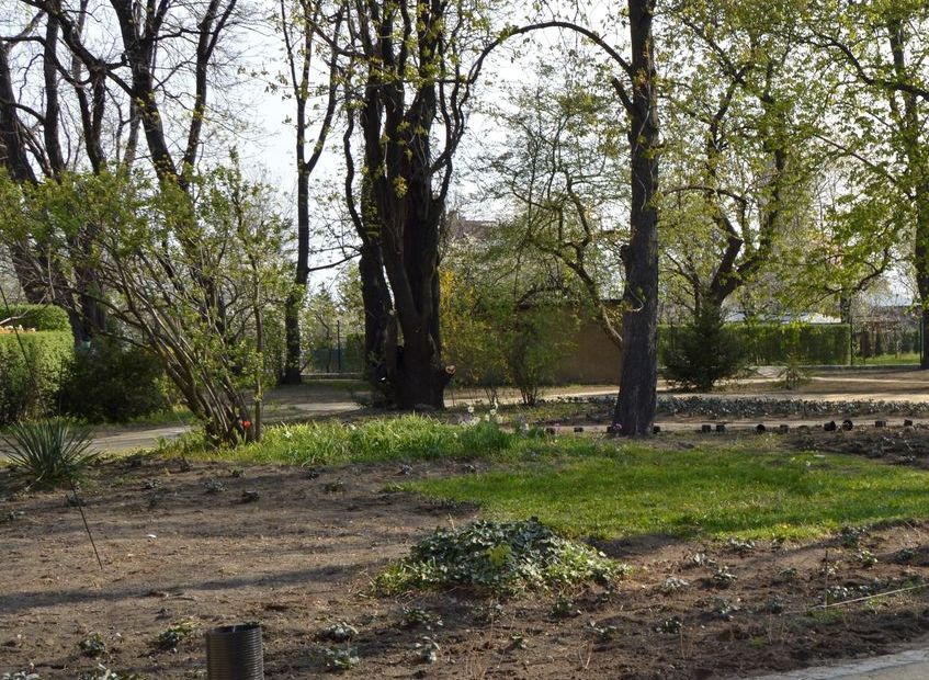 Świebodzice: Park pięknieje