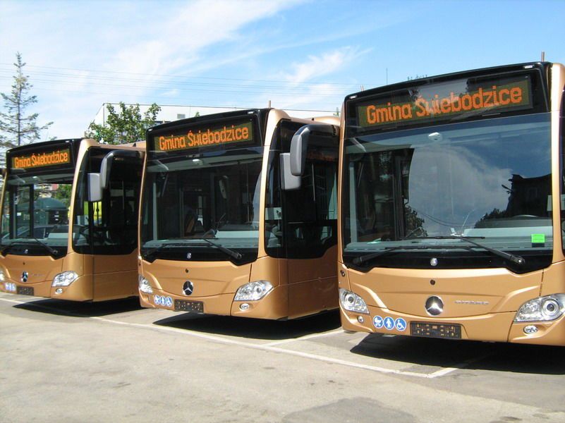 Świebodzice: Więcej kursów