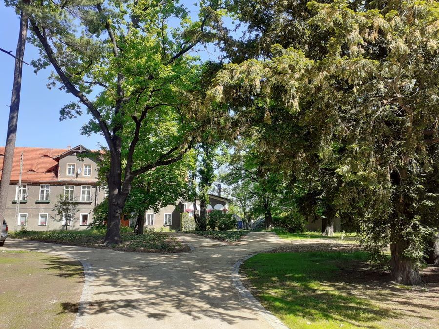 Świebodzice: Nowe oblicze parku