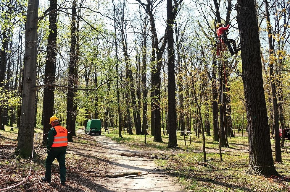 Świdnica: Jak zagospodarować park?