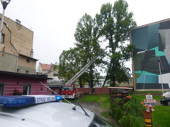 Świdnica: Kontrole i upomnienia