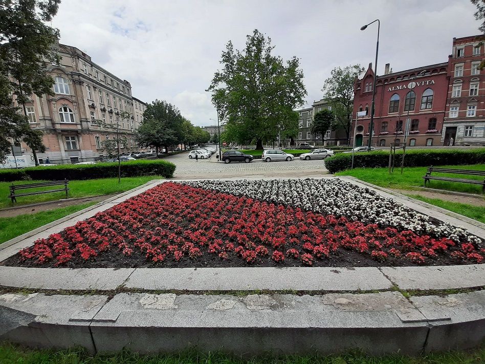 Świdnica: Konsultacje zakończone
