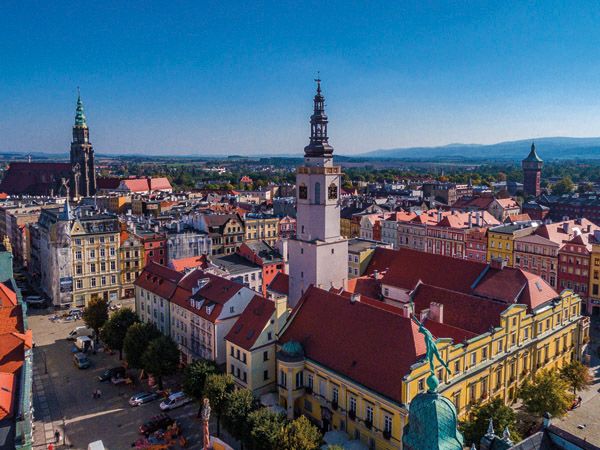 Świdnica: Wolne miejsca