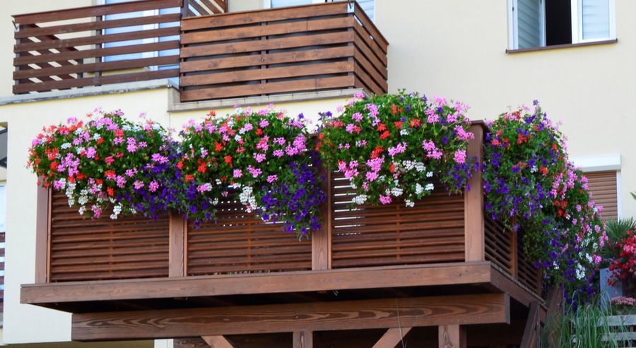 Świebodzice: Najładniejsze balkony