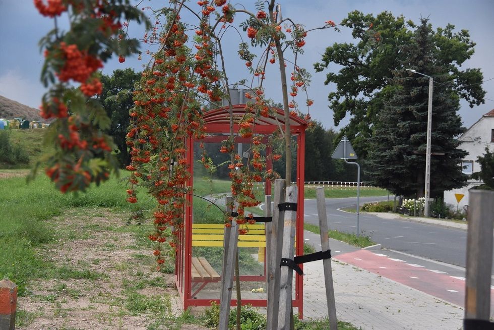 Gmina Świdnica: Zielone przystanki