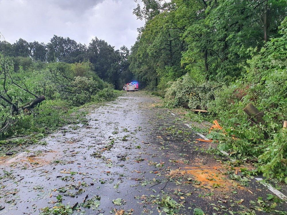 Gmina Świdnica: Usuwają szkody