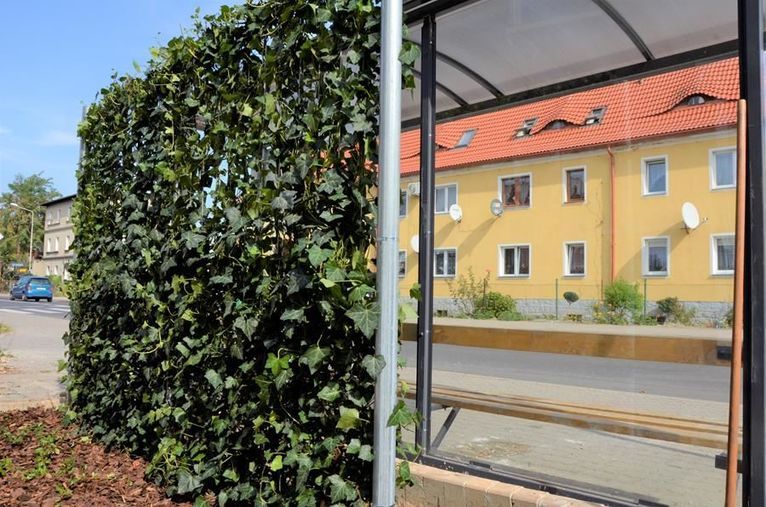 Żarów: Zielone przystanki