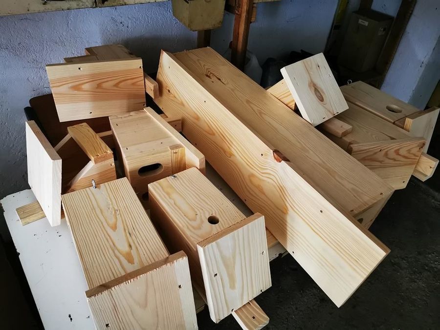 Żarów: Budki lęgowe
