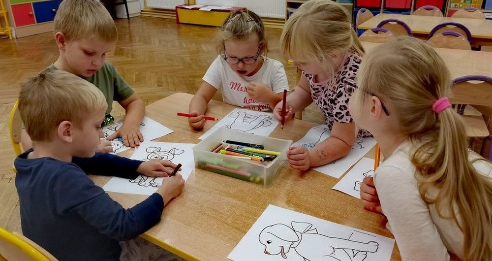 Strzegom: Pełna miska dla schroniska