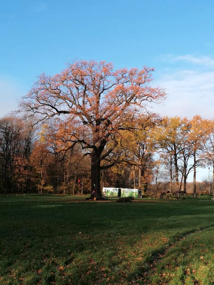 Śmiałowice: Pielęgnacja pomnika