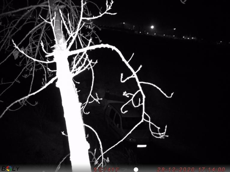 Jaworzyna Śląska: Skuteczna fotopułapka