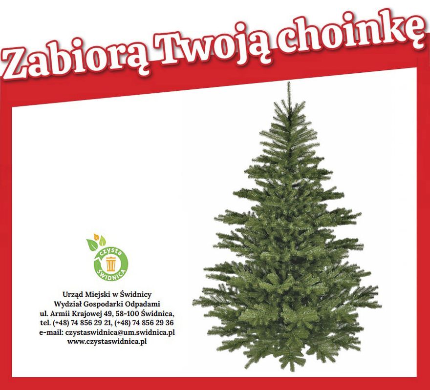 Świdnica: Zabiorą twoją choinkę