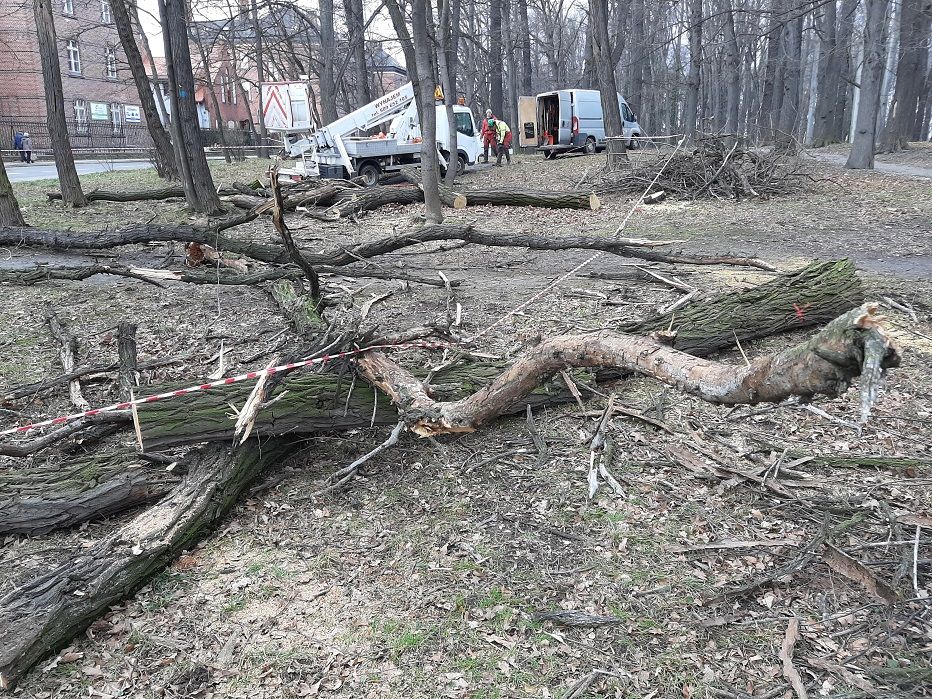 Świdnica: Modernizują park
