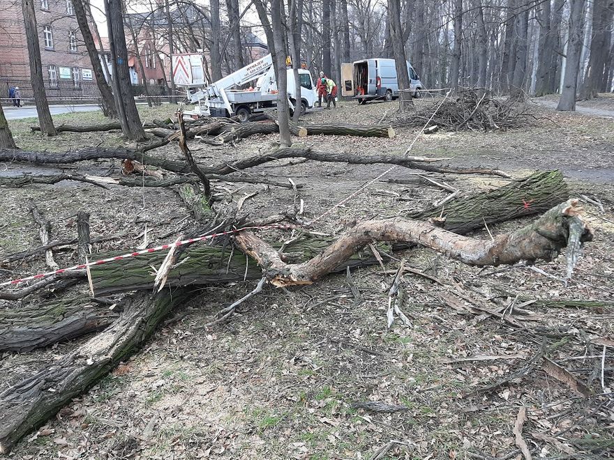 Świdnica: Modernizują park