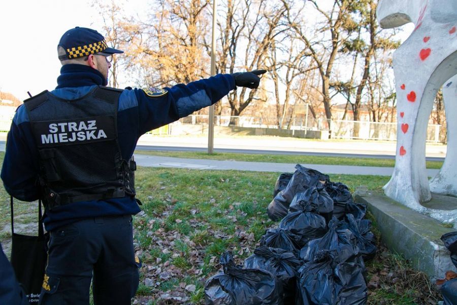 Świdnica: Interwencji sporo
