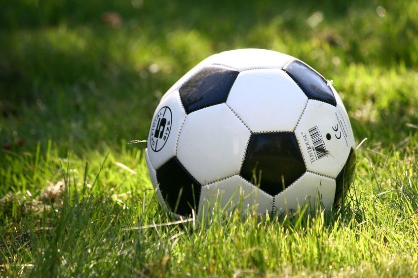 Świebodzice: Stypendia dla sportowców